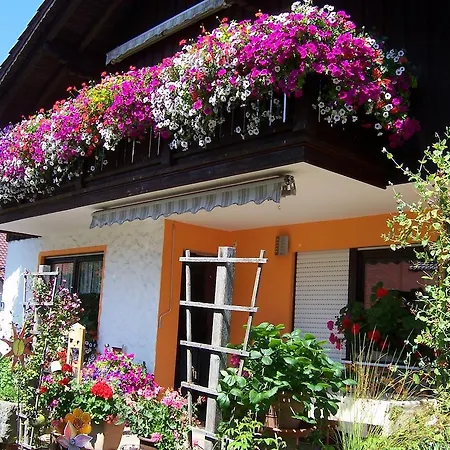 アパート Haus Schmid